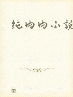 纯肉肉小说