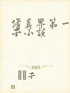 修真界第一病秧子小说