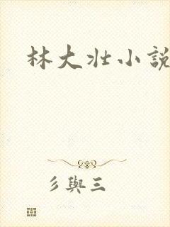 林大壮小说阅读