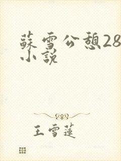 苏雪公憩28篇小说