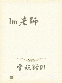 lm老师