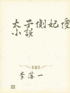 太子侧妃傻乎乎小说