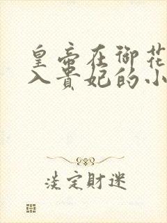 皇帝在御花园进入贵妃的小说