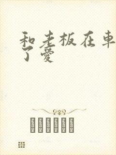 和老板在车里做了爱