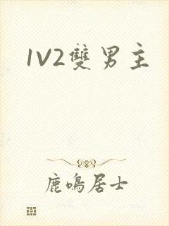 1V2双男主