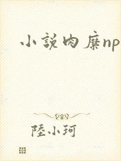 小说肉糜np