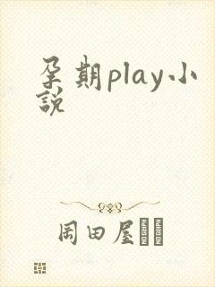 孕期play小说