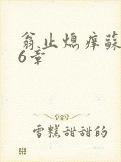 翁止熄痒苏玥第6章