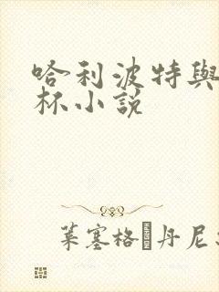 哈利波特与火焰杯小说