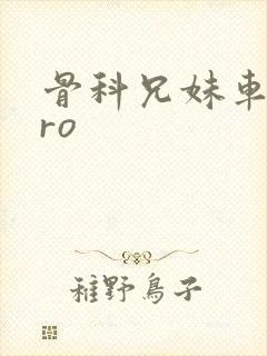 骨科兄妹车多pro