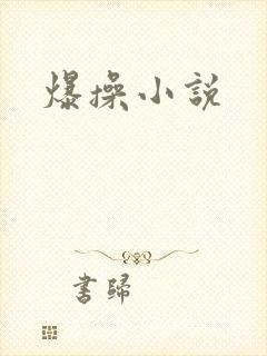 爆操小说