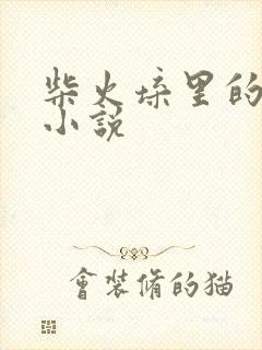 柴火垛里的疯狂小说