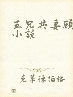 五兄共妻顾心儿小说