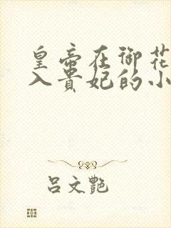 皇帝在御花园进入贵妃的小说