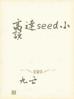 高达seed小说
