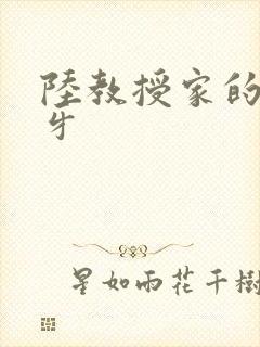 陆教授家的小月牙