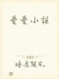 爱爱小说
