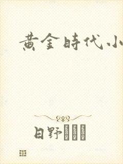 黄金时代小说
