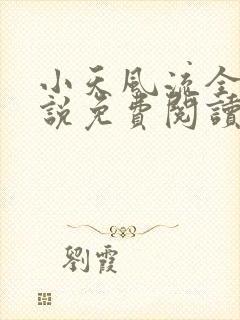 小天风流全集小说免费阅读