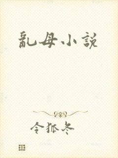乱母小说