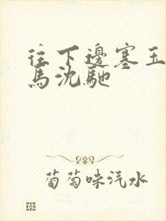 往下边塞玉器骑马沈驰