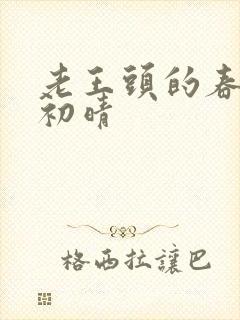 老王头的春天林初晴