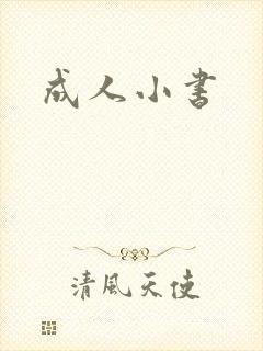 成人小书