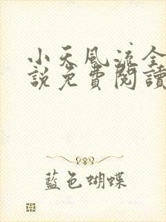 小天风流全集小说免费阅读