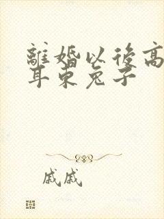 离婚以后高干 耳东兔子