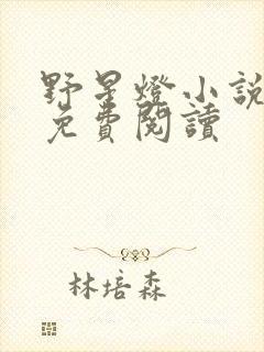 野星灯小说全文免费阅读