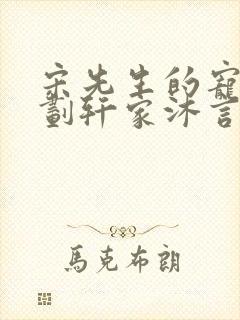 宋先生的宠妻计划轩家沐言