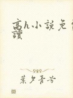 高h小说免费阅读