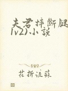 夫君摔断腿后(1v2)小说