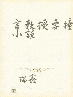 言教授要撞坏了小说