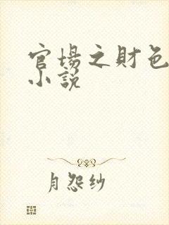 官场之财色诱人小说