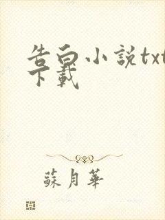 告白小说txt下载