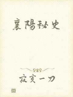 襄阳秘史
