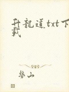 升龙道txt下载
