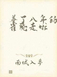 养了八年的金丝雀飞走啦