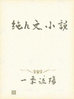 纯h文小说