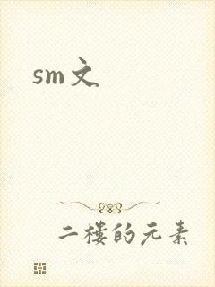 sm文