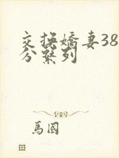 交换娇妻38部分系列