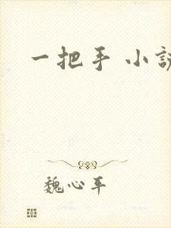 一把手 小说