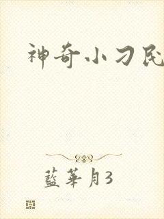 神奇小刁民