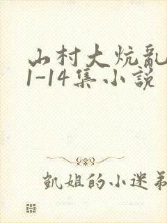 山村大炕乱肉续1-14集小说