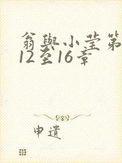 翁与小莹第十部12至16章