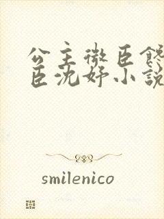 公主微臣馋了微臣沈妤小说