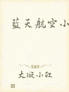 蓝天航空小说