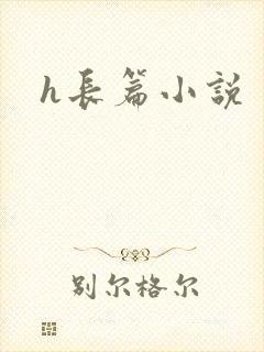 h长篇小说