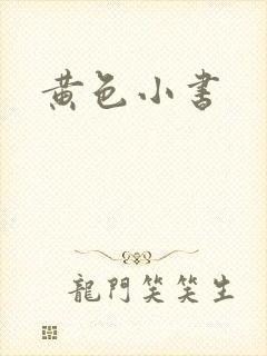 黄色小书